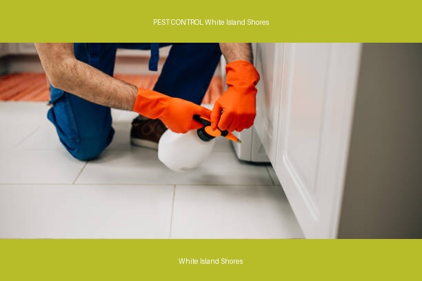 PEST CONTROL White Island Shores